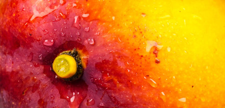 A closeup shot of water droplets on a fresh mangoの写真素材