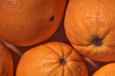 A closeup of fresh oranges from the orchard. Fresh food without additives.の写真素材