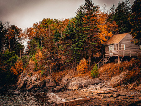 A beautiful shot of a cabin on a hillside with autumn treesの写真素材