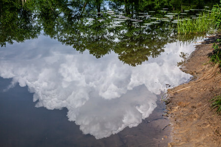 Green trees and white clouds reflected on water surfaceの写真素材