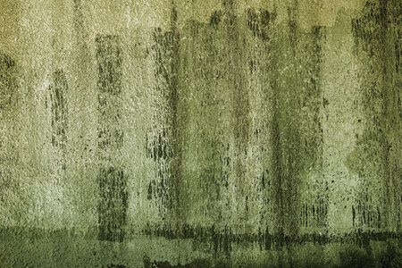 A grungy stained green parchment paper for a backgroundの写真素材