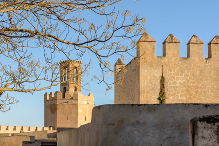 The Badajoz Fortress surrounded by trees under the sunlight and a blue sky in Spainの写真素材
