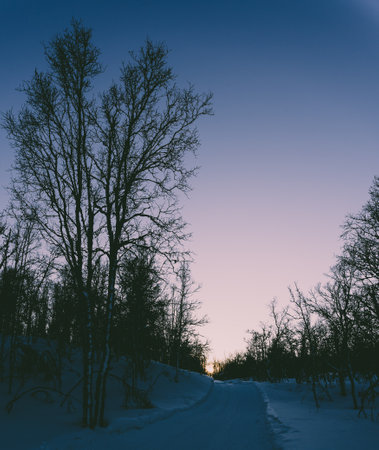 A vertical shot of a snowy road against night sky backgroundの写真素材
