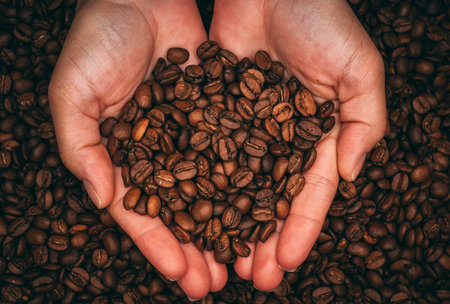 A top view of the female palms full of roasted coffee beans on the coffee beans backgroundの写真素材