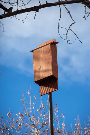 A vertical shot of a wooden bat box under tree branchesの写真素材