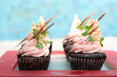 a closeup shot of black, delicious, beautifully decorated cupcakes with pink creamの写真素材
