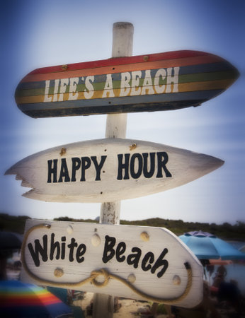 A shot of different signs with fun phrases showing the way into the beach.