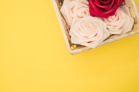 Beautiful red and white roses in a box isolated on a yellow backgroundの写真素材