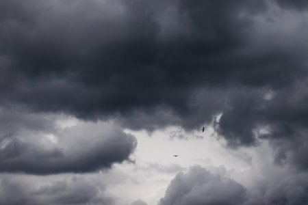 A beautiful view of thick, dark rain clouds in the sky