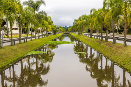 A canal with palm trees reflected in itの写真素材