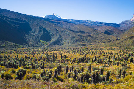 A beautiful view of  El Cocuy National Park , Colombiaの写真素材