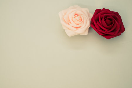 A top view of roses from satin ribbonの写真素材