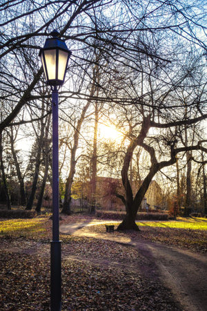 A vertical shot of a park on a sunny autumn dayの写真素材