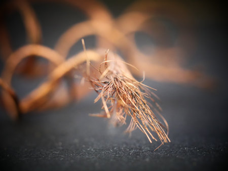 A dramatic shot of metal cable wire details on blurred background