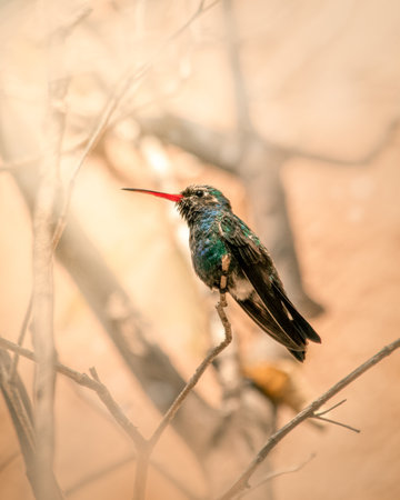 A vertical shot of a Cuban emerald bird perched on a branchの写真素材