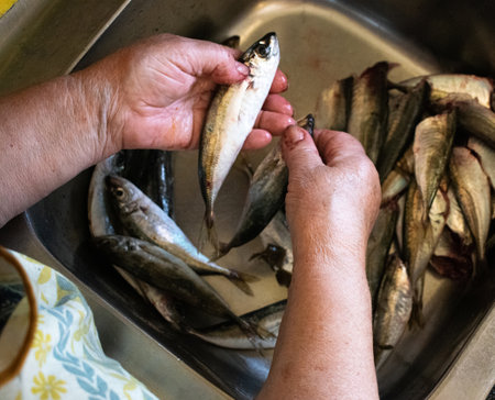 Close-up of the hands of an old woman cleaning fish in the sinkの写真素材