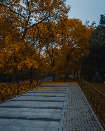 A stone stairway through a park with yellow treesの写真素材
