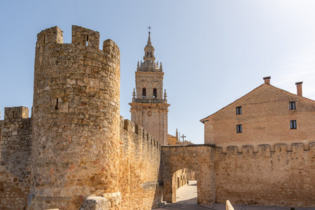 The facade of the cathedral of Burgo de Osma in Soria, Castilla y Leon, Spainの写真素材