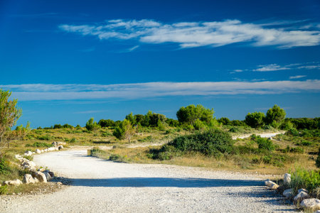 A road through Kamenjak National park in Croatia under the blue skyの写真素材