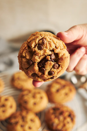 A vertical shot of a person holding a deliciously baked cookie with chocolate chips