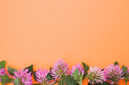 A top view of a bouquet of red clovers isolated on an orange background with space for textの写真素材