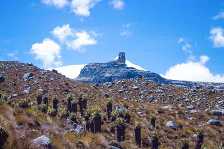 A beautiful view of  El Cocuy National Park , Colombiaの写真素材