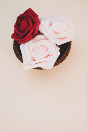 A vertical shot of red and white rose heads on a light-colored background with copyspaceの写真素材