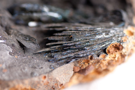 vivianite crystal mineral sample very dark with striationsの写真素材