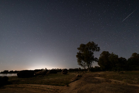 A mesmerizing view of a landscape gleaming under the shiny stars in the night sky