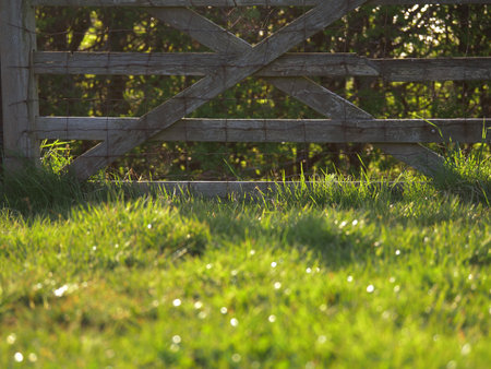 Traditional rustic wooden country gate in farmers field medium shotの写真素材