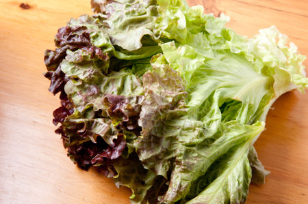 A closeup shot of red lettuce isolated on the wooden tableの写真素材