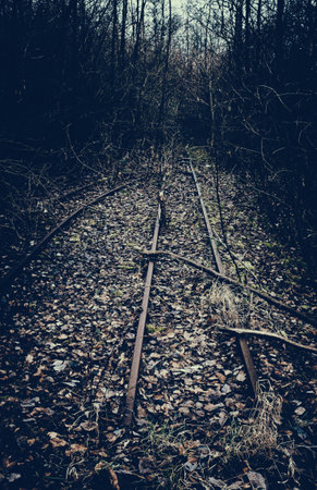 A vertical shot of an old and rusty railroad in the forest