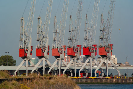A closeup of a row of red harbor cranes in Rotterdam, The Netherlands