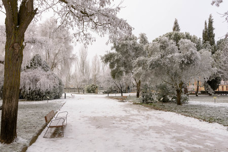 Winter garden in Medina de Rioseco with a strong frost. Valladolid, Castile and Leon, Spainの写真素材