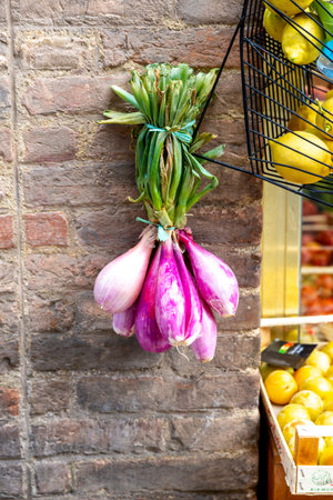 A tied bunch of large red purple onion on a brick wall next to a fruit and vegetable store in Italy.