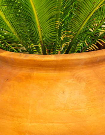 A vertical shot of a pot with greeの写真素材
