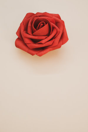 A vertical shot of artificial red rose isolated on light backgroundの写真素材