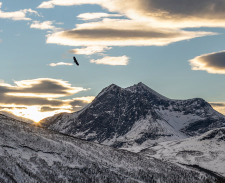 A frozen mountain landscape with a flying bird against cloudy sky backgroundの写真素材