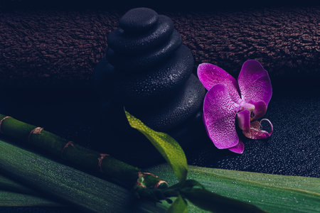 A closeup shot of zen rocks and a pink orchid flower at a spaの写真素材