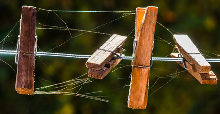 A closeup shot of a spider web on a rope with clothespins