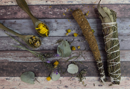Sahumos, handmade incenses made with herbs and flowers, For cleaning ritualsの写真素材