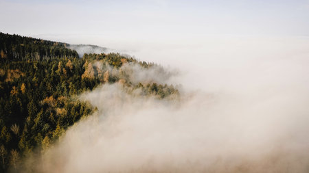 A landscape of forests covered in the fog under a cloudy skyの写真素材