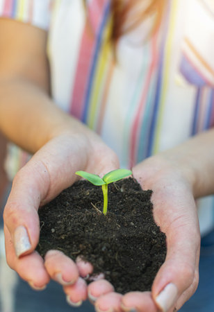 A soft focus of the hands of a woman holding a germinated seed with soil. Caring for the environment and ecology conceptの写真素材
