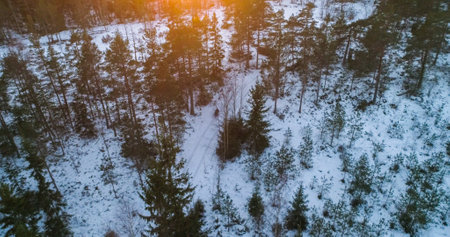 Aerial view Man and a boy sledging in winter forest, cold sunny day, in Scandinaviaの写真素材
