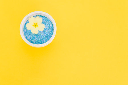 An overhead shot of a yellow flower in a pot of blue sand on a yellow backgroundの写真素材