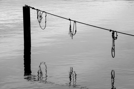 A grayscale shot of fishing rods by the sea