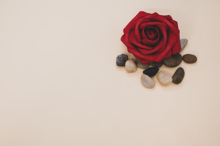 A closeup of an artificial red rose surrounded by stoned on pastel peach surface for a copy spaceの写真素材