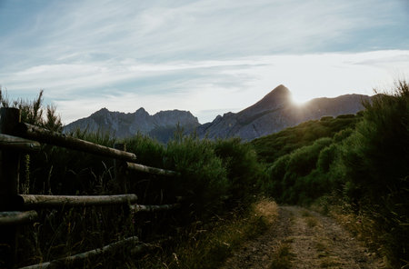 A vertical shot of a path surrounded by nature and mountains in Riano, Picos de Europa, Spainの写真素材