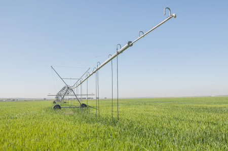 An irrigation system on a cereal crop field under clear blue skyの写真素材