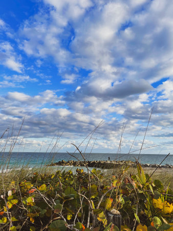 A vertical shot of an alluring wild beach landscapeの写真素材